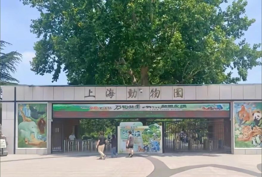 10月嬰「用奶瓶喝奶」竟遭驅趕！上海動物園：不文明