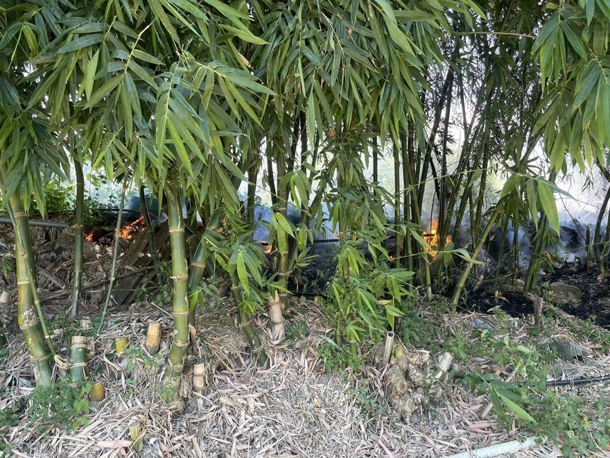 北市延平北路竹林大火！90歲翁燒成焦屍　妹見人崩潰痛哭