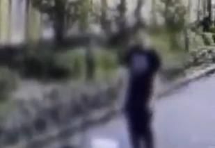 喪心病狂！陸男在幼兒園旁虐殺四貓　僅受思想教育惹公憤