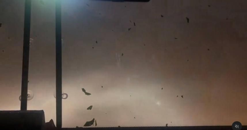 統一獅隊巴颱風天狂奔返台南！　陳傑憲：這風雨滿刺激