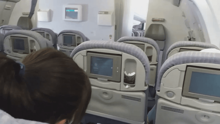 影/空中驚魂片！丹娜絲釀班機猛晃、機長神技術抗颱