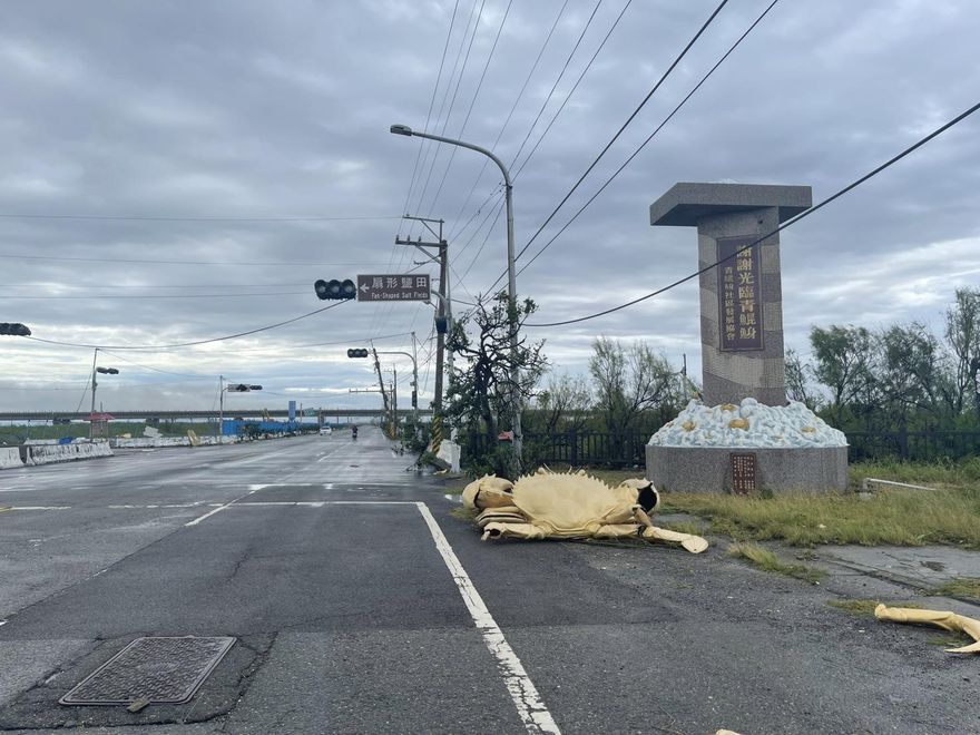 丹娜絲肆虐！台南青鯤鯓「螃蟹」掉地上