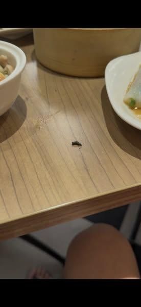 巨城三合院用餐到一半！天降老鼠屎　業者致歉了