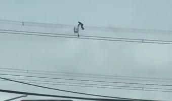 影/台電人員電線上拚搶修如「走鋼索」　全網看跪了
