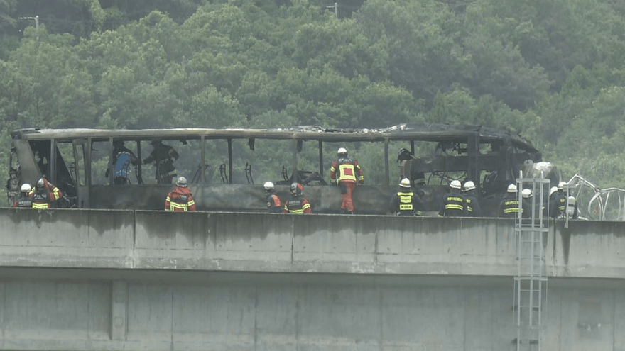 影/日德島高速公路嚴重車禍　巴士、貨車相撞起火2死4重傷