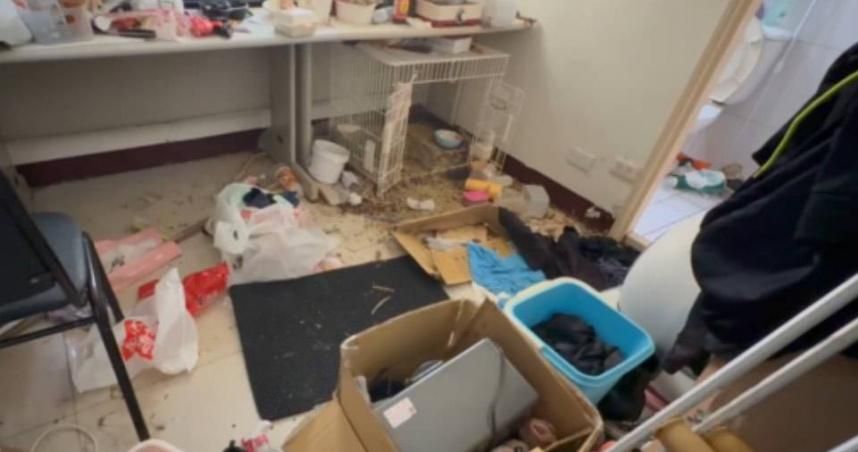 惡房客報復退租！毀壞水龍頭放水淹屋　兔子餓死屋內