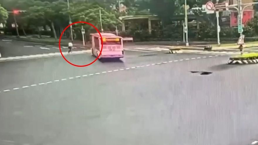 影/公車左轉撞死乳癌權威名醫　小跑步過馬路畫面曝光