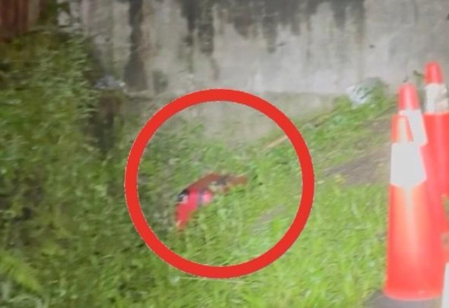 影/新莊箱屍案最新！死者「疑為身障、背部有蜘蛛刺青」