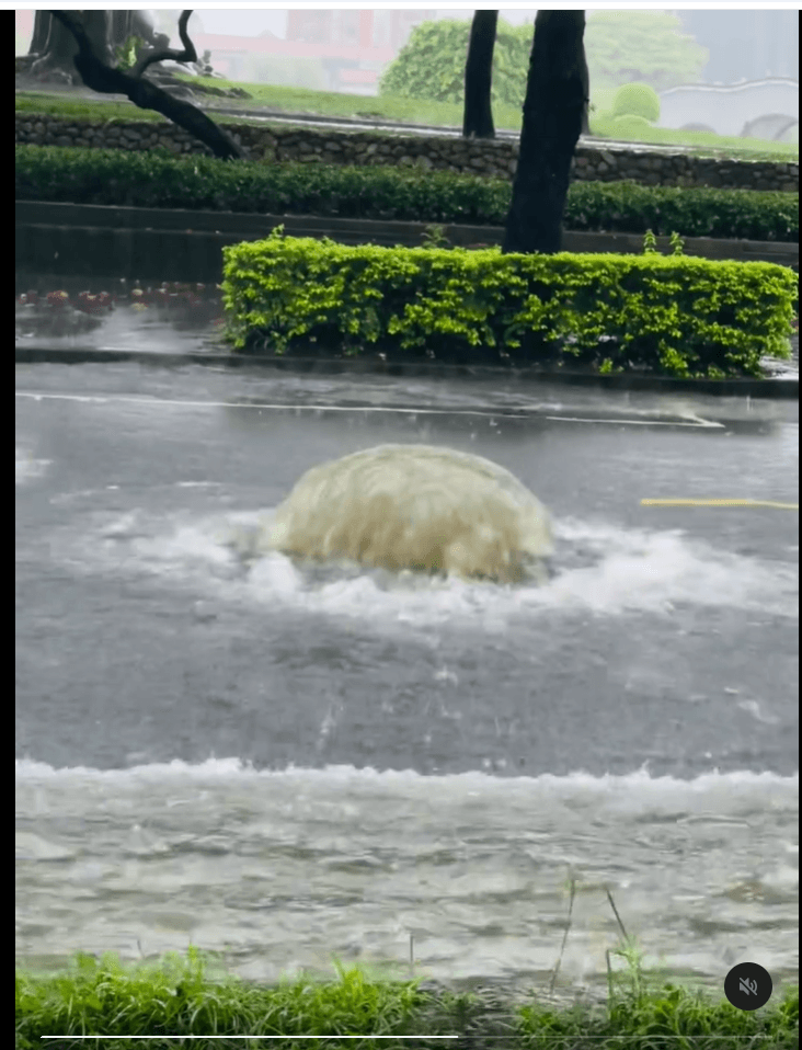 台中豪雨成災！豐樂公園路面人孔蓋漂走　驚見粗壯湧泉