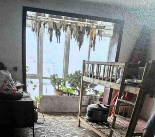 地獄房客！陸情侶租屋變垃圾堆　陽台掛滿「詭異狗皮」房東崩潰