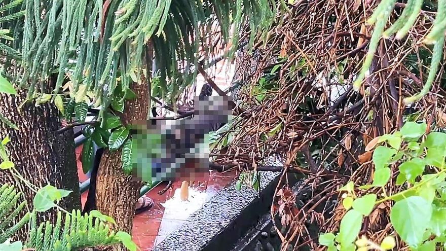 台東鯉魚山驚傳命案！40歲男血染觀音亭「全身刀傷」慘死