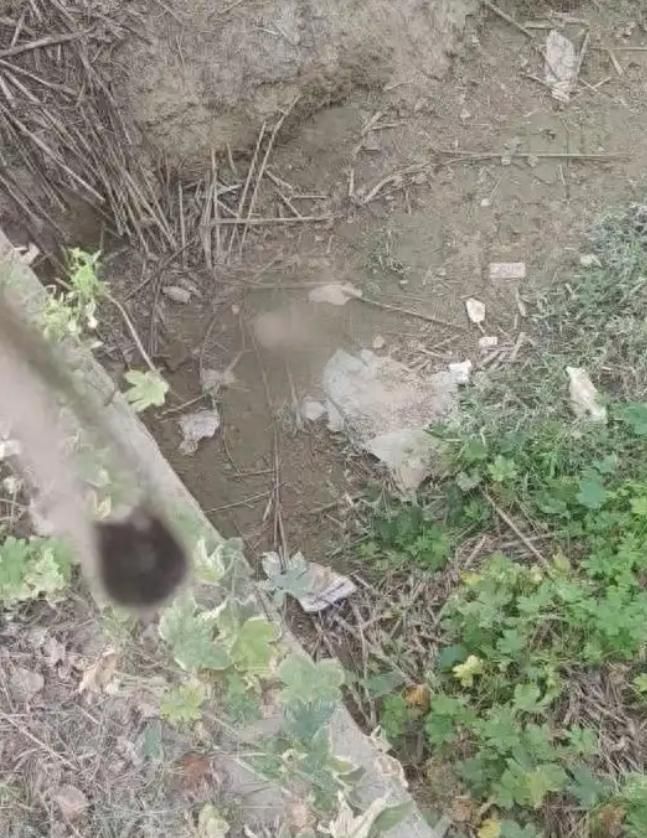 影/帶孩跑步到一半…陸寶媽田間溝渠驚見「白色頭骨」嚇壞