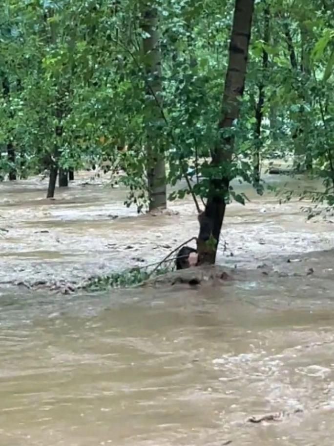 暴雨襲河北！露營地鄰洩洪道致3死4失聯　她「抱樹5hrs」獲救