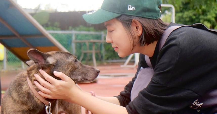 新竹市犬棕棕被送回收容所安置　米可白：別美化行為，棄養就是棄養
