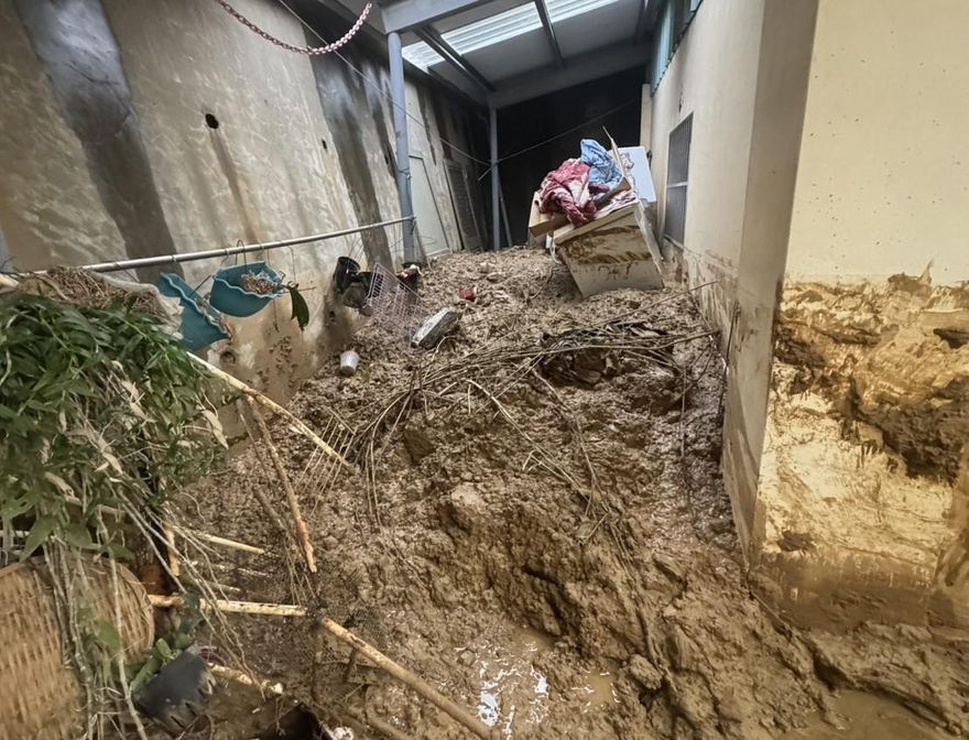 影/台中雨量破21年紀錄！大坑土石流灌屋半樓高　黃泥還再衝