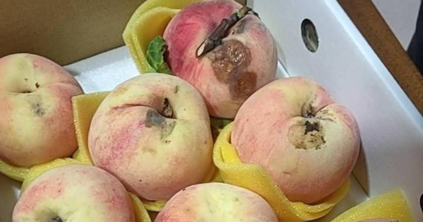 拉拉山老夫妻賣水蜜桃稱88節特價　他買回家「24顆爛掉」