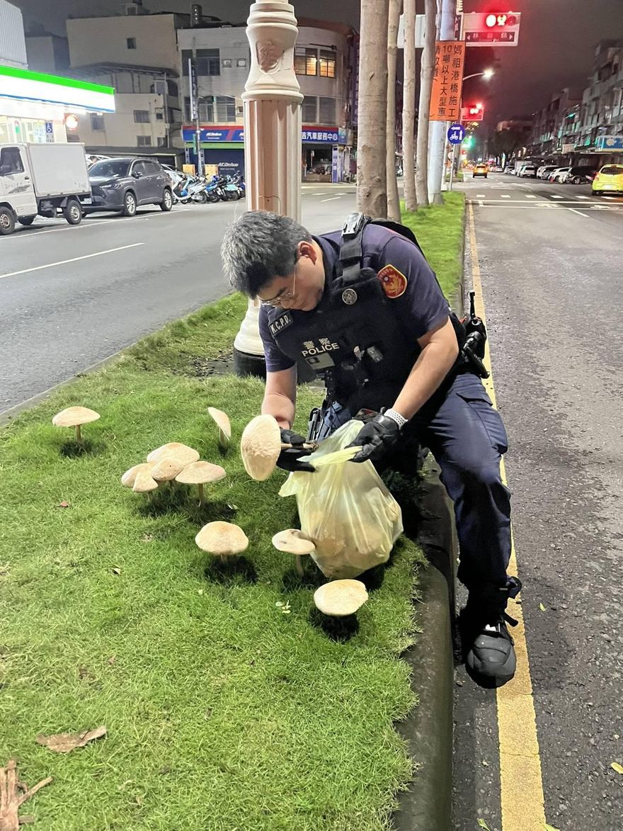 暖警摘香菇　基層炸鍋「這也歸警察管?」