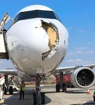 起飛僅20分…西班牙客機遇鳥擊「砰」撞出大洞　駭人畫面曝