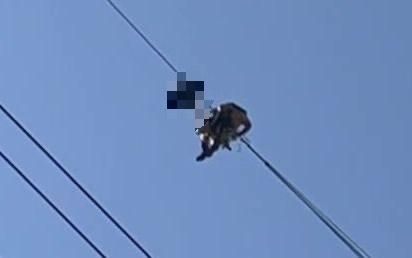 影/桃園移工慘死20層樓高壓電線上　勇消冒險「勾遺體」
