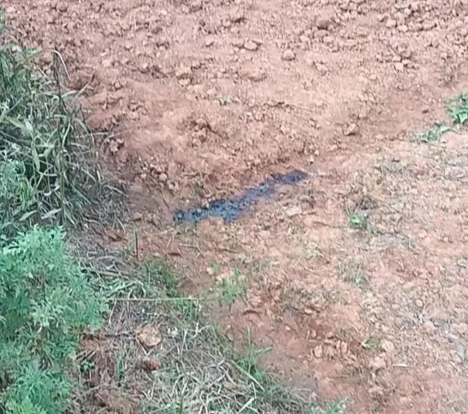 陸男蹲田地如廁…竟被當「獵物」射殺亡　家屬悲慟要討公道