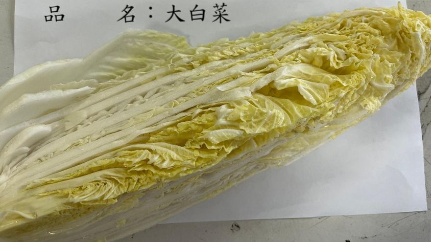 越南進口大白菜驗出農藥超標　食藥署攔截逾3.8萬公斤
