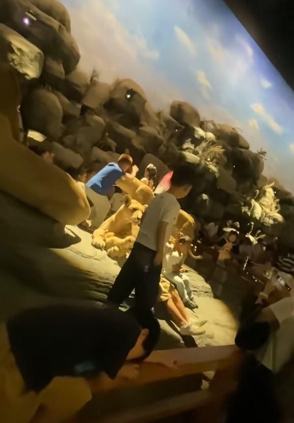 上海自然博物館變「兒童遊樂場」！熊家長抱娃闖禁區騎動物標本