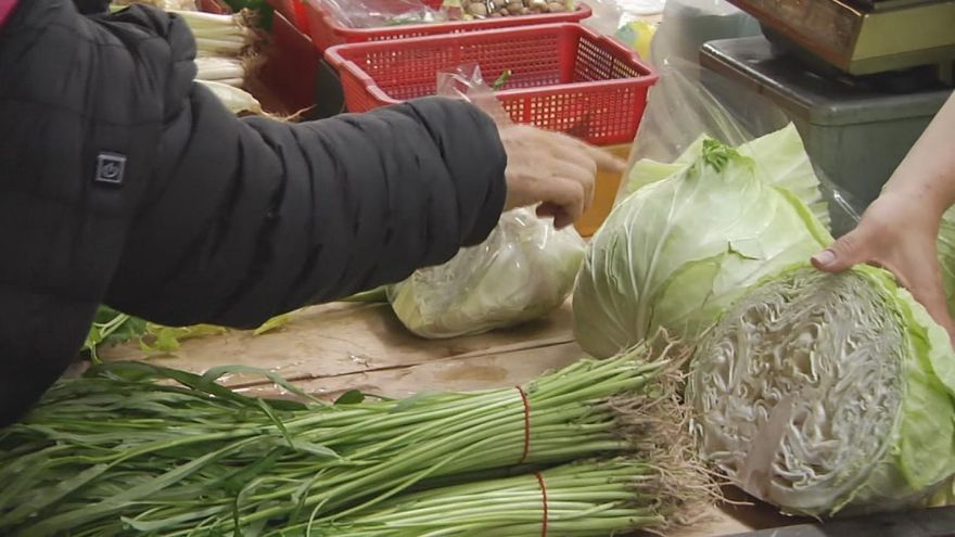 菜價飆漲好苦惱？營養師推「芽苗蔬菜、菇類」美味又省錢