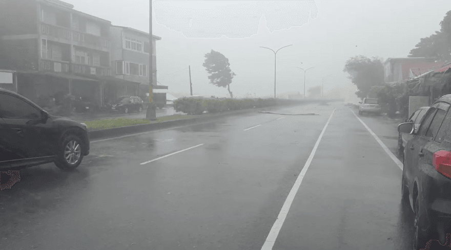 楊柳巔峰之姿登陸！南部風雨正要開始　北部小心角隅效應