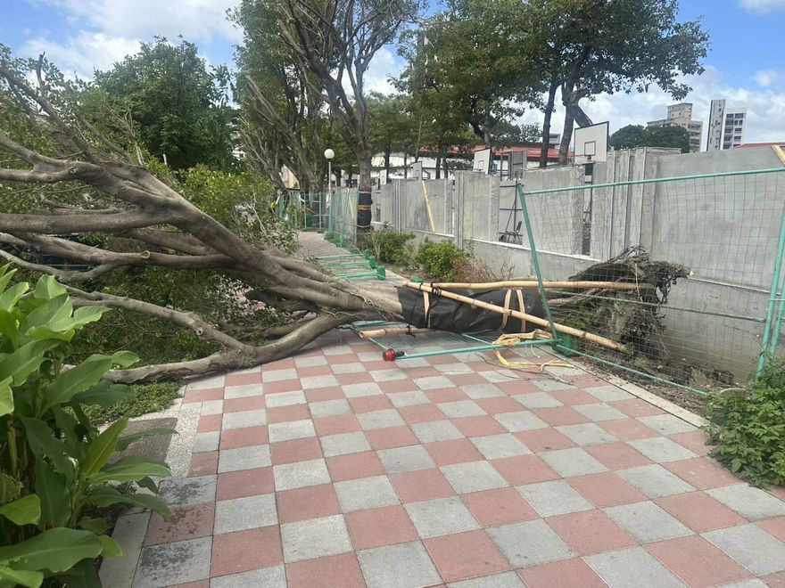 北部沒列警戒仍颳「颱風假級強風」　專家：3原因碰巧配合