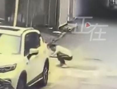 陸急診醫街頭射殺流浪貓！影片瘋傳被停職　網轟：這能當醫師？