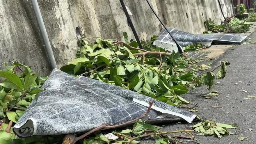 光電板又出事！楊柳吹飛砸破民宅屋頂害漏水　老婦嚇壞：不敢睡