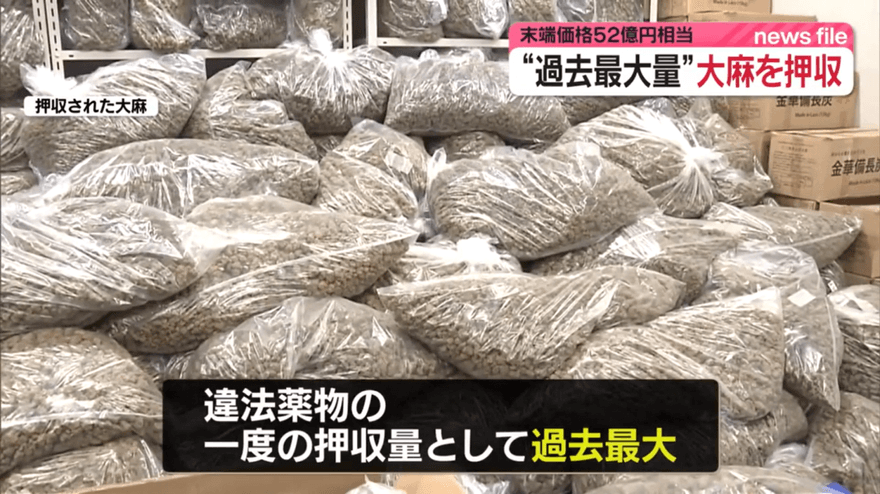 破71年紀錄！日本查獲逾1公噸走私大麻　3越南男子被捕