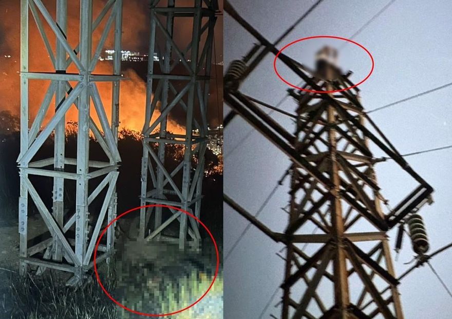 「爬高壓電塔」觸電亡！　李怡貞嘆：短影音影響超乎預期