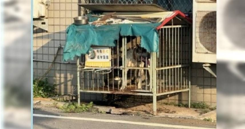 議員陪女兒練車突變救狗大戰　肉身擋犬反遭狠咬送醫