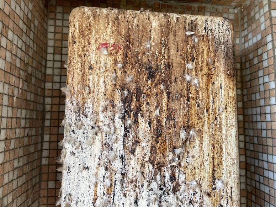 鳥屎釀火災！彰化民宅「熱水器」竄火舌　幸無傷亡