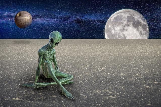 世界第2營養食物令人害怕　外型像極了「外星人分娩」