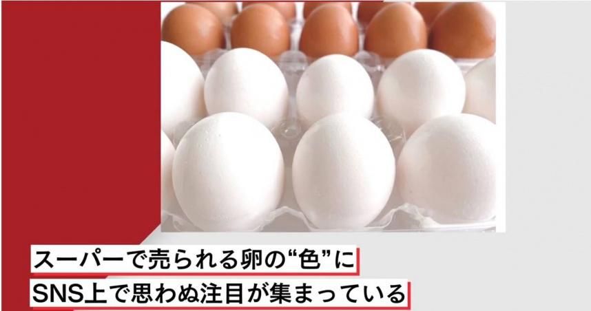 紅殼蛋較營養？日專家破解「蛋殼、蛋黃」顏色迷思