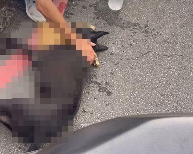 可惡！南港虐犬「騎車拖行300米」活活弄死　鮮血排泄物狂噴