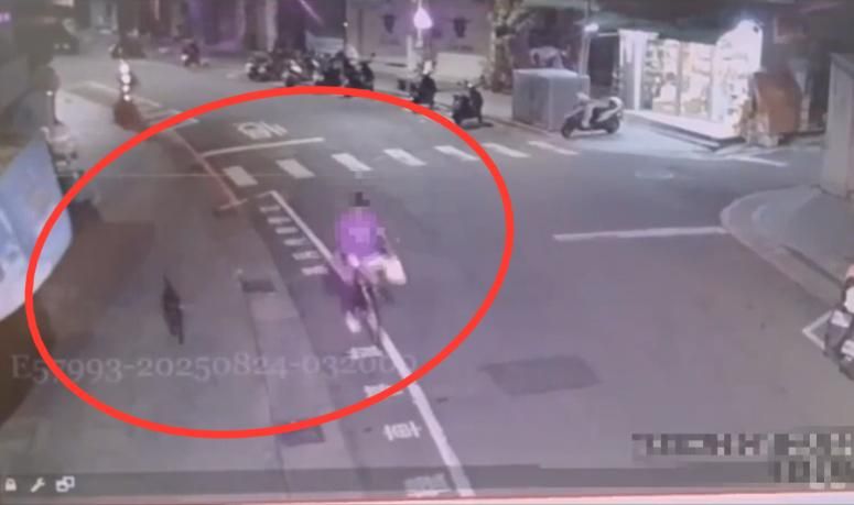 影/偷狗殘忍虐死棄屍基隆河　淡水男涉竊盜毀損遭逮