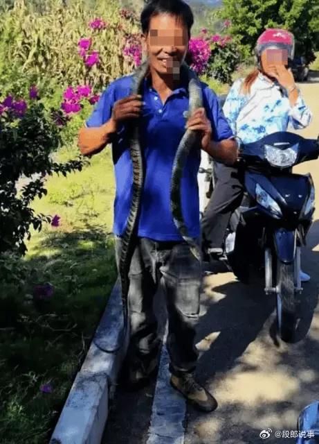 影/「眼鏡王蛇」當無毒蛇！掛脖、任鑽褲管...陸男拍片炫耀慘死