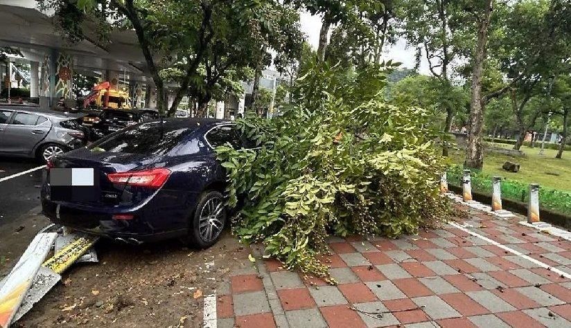 內湖瑪莎拉蒂「失控猛撞」路樹與YouBike站　車頭全毀