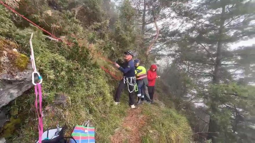 影/阿里山登山意外！67歲婦登山踩空　警消繩索拉抬驚險救援