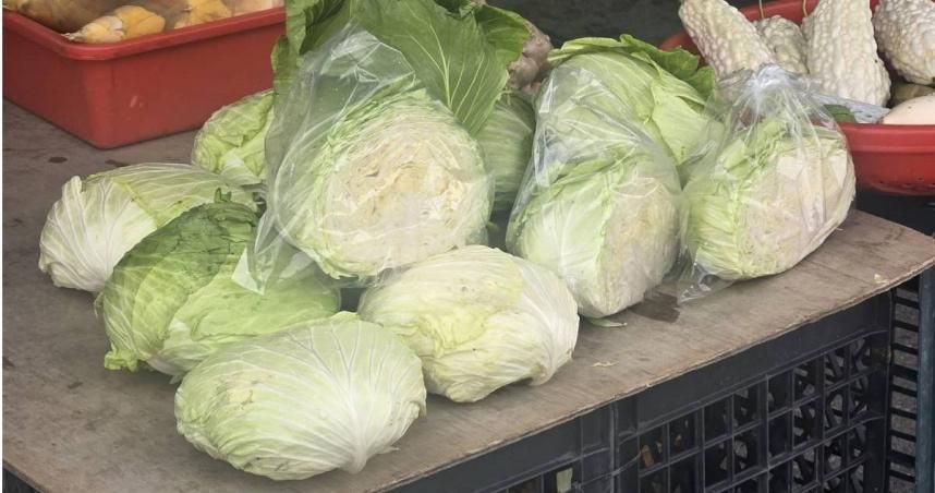 高麗菜內葉要洗？營養師曝關鍵：當心維生素C全沒了