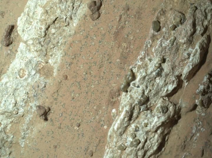 NASA重大發現！火星採集35億年前岩石　疑有生命活動跡象