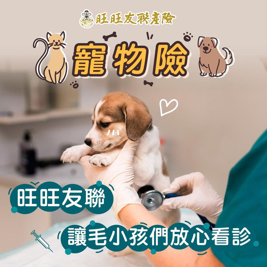 為毛小孩投保寵物險　保障門診、住院和手術費用