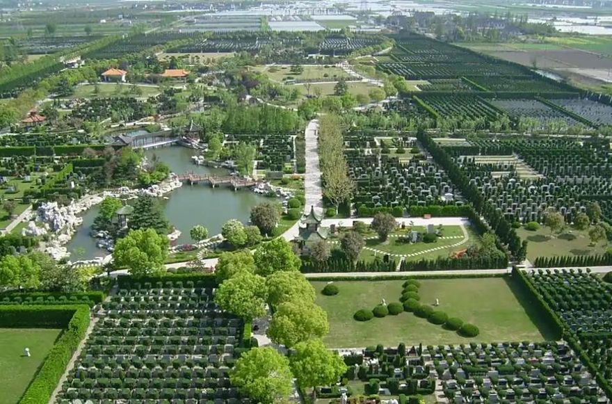 陸殯葬業龍頭首度虧損　上半年營收26億近腰斬