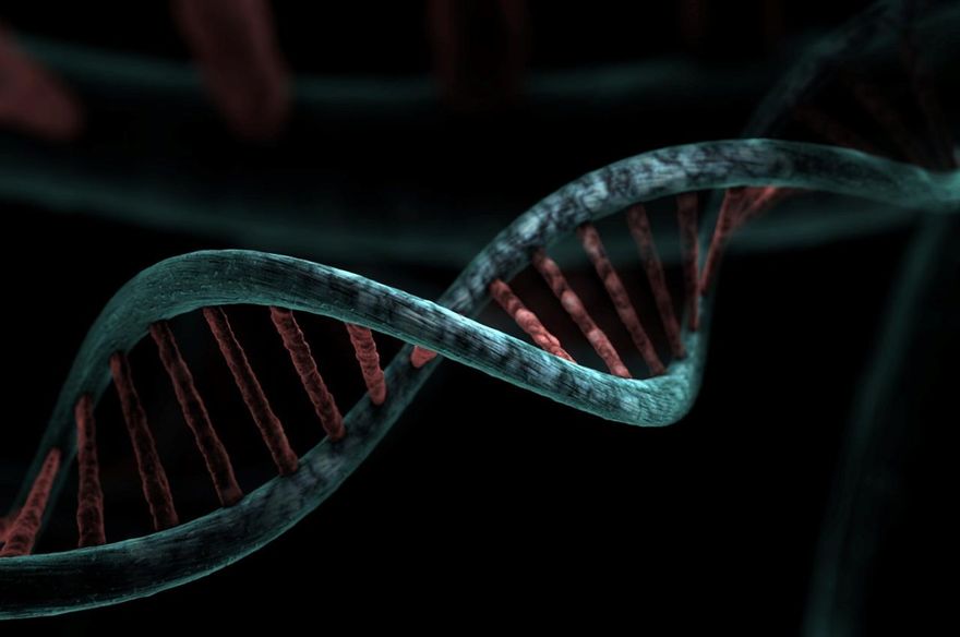 生殖醫學大突破！男人皮膚細胞竟能製造卵子　打破性別、不孕限制
