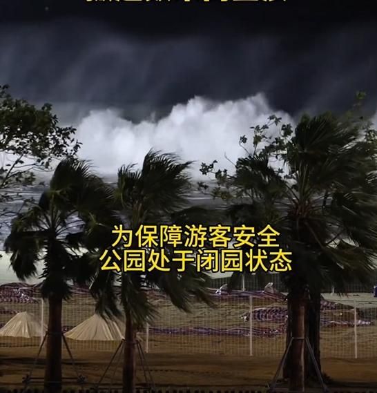 影/剉著等！樺加沙料下午登陸廣東　深圳已掀「海嘯巨浪」