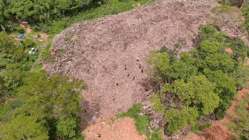 苗栗山坡地遭濫倒1.3萬噸廢棄樹枝　檢起訴12人求重判
