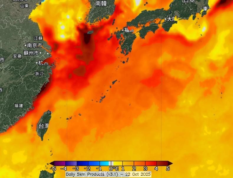 海溫降卻仍紅通通！東北季風定義面臨挑戰　鄭明典：全球暖化